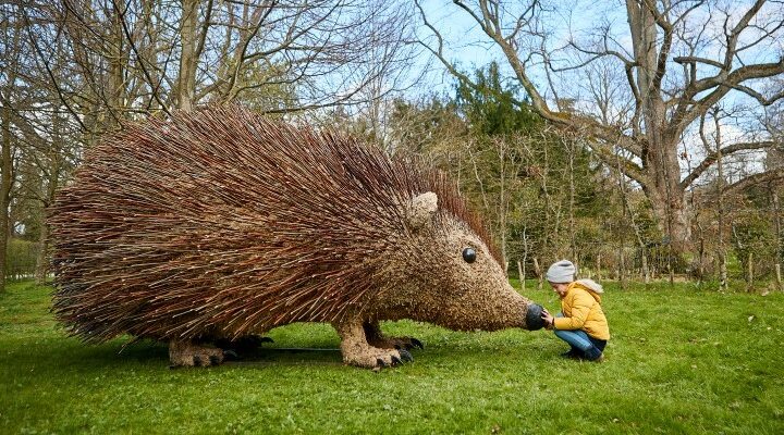 Image for Life on the Hedge!