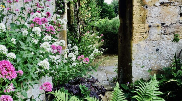 Image for Find Us